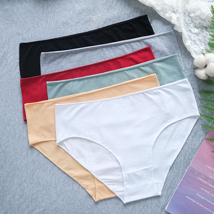 Plus Size Full Coverage Hipster Panty(6 Packs)