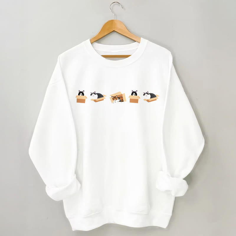 Plus Size Box Cat Sweatshirt