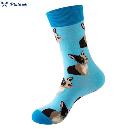 Panda Dog Cat Quarter Socks(5 Pairs)