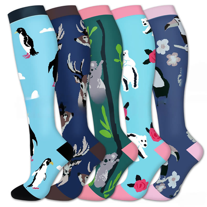 Koala Penguin Compression Socks(5 Pairs)