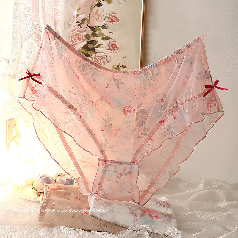 Plus Size Sexy Hazy Rose Mesh Panty(2 Packs)