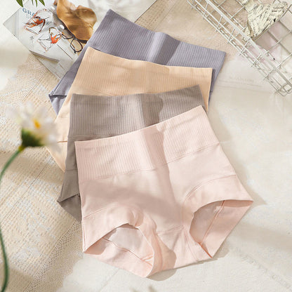 Plus Size Casual High Waist Panty(2 Packs)