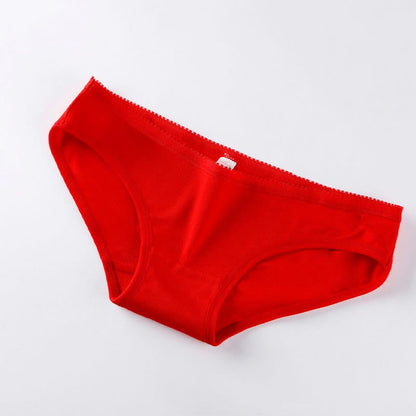 Plus Size Low Waist Panty(4 Packs)