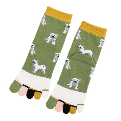 Dog Quarter Alignment Socks(5 Pairs)