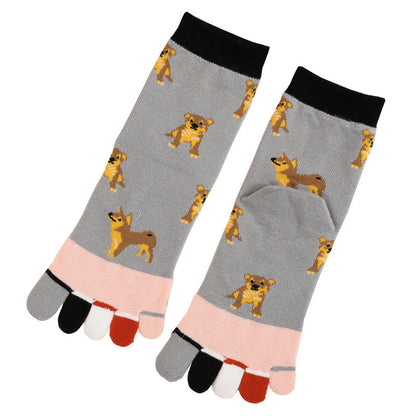 Dog Quarter Alignment Socks(5 Pairs)