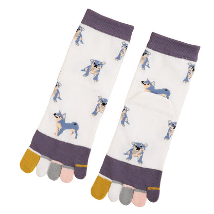 Dog Quarter Alignment Socks(5 Pairs)