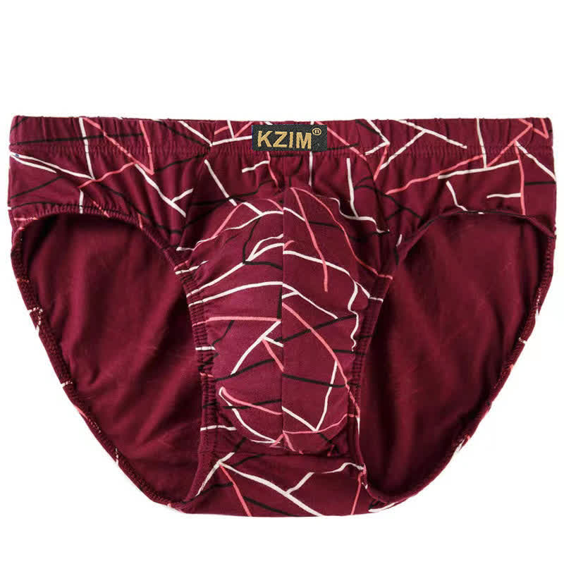 Plus Size Men's Dragon Print Cotton Brief(3 Packs)