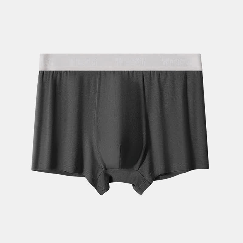 Plus Size Loose Men's Bamboo Fiber Boxer Brief(2 Packs)