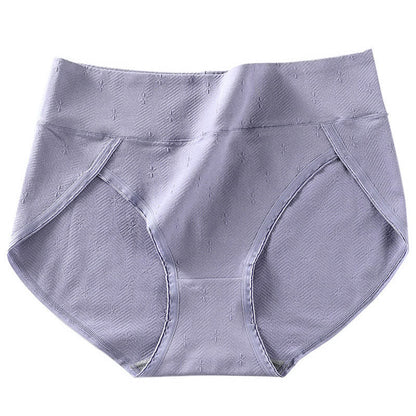 Plus Size High-Waisted Antibacterial Panty(6 Pairs)