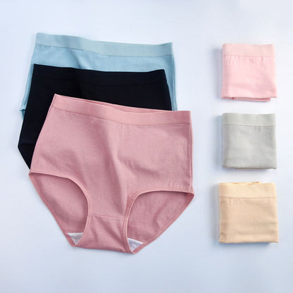 Plus Size High Waist Cotton Panty(6 Packs)