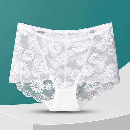 Plus Size High-Waisted Floral Lace Panty(5 Pairs)