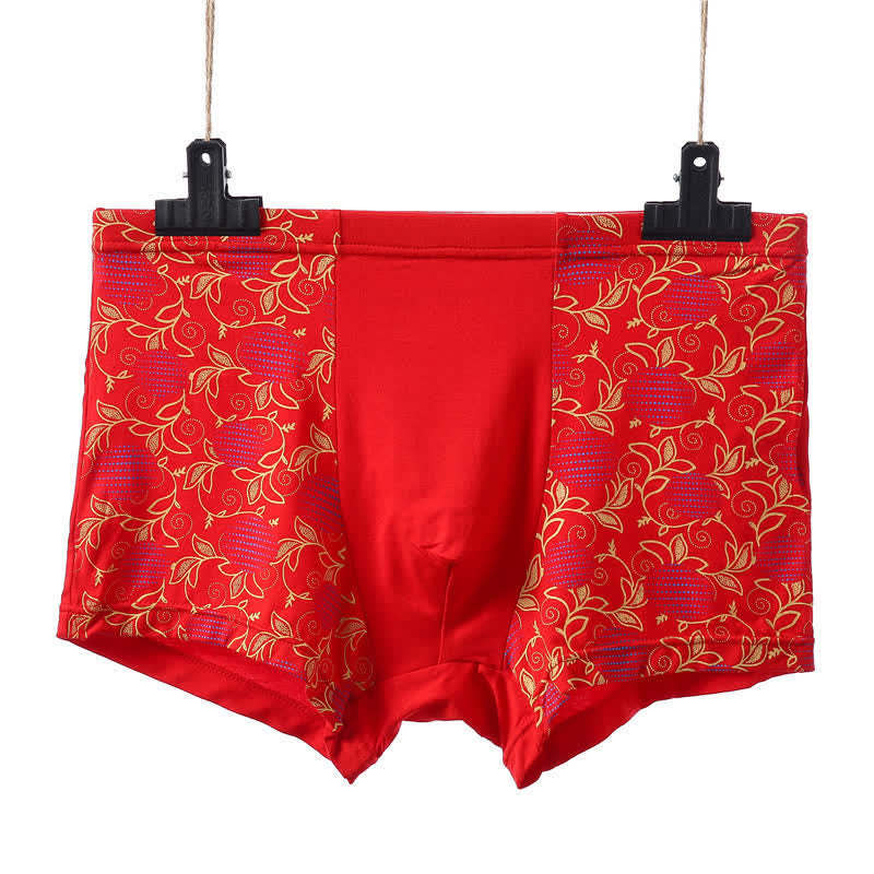 Plus Size Bright Comfy Fly Boxer Briefs(5 Packs)